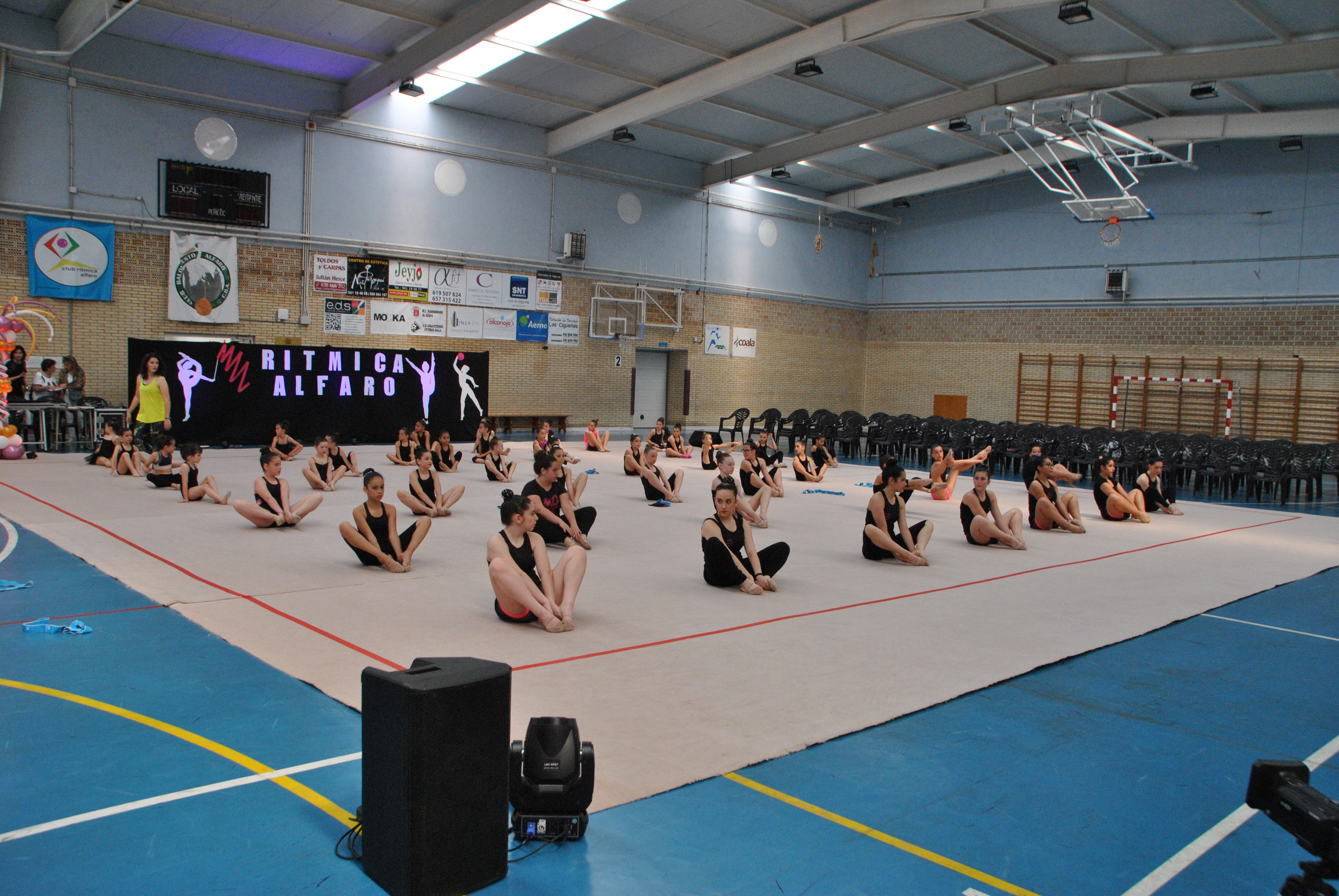 Exhibicion club ritmica Alfaro junio 18 002