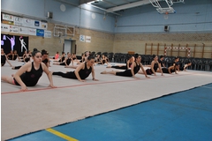 Exhibicion club ritmica Alfaro junio 18 003