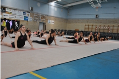 Exhibicion club ritmica Alfaro junio 18 004