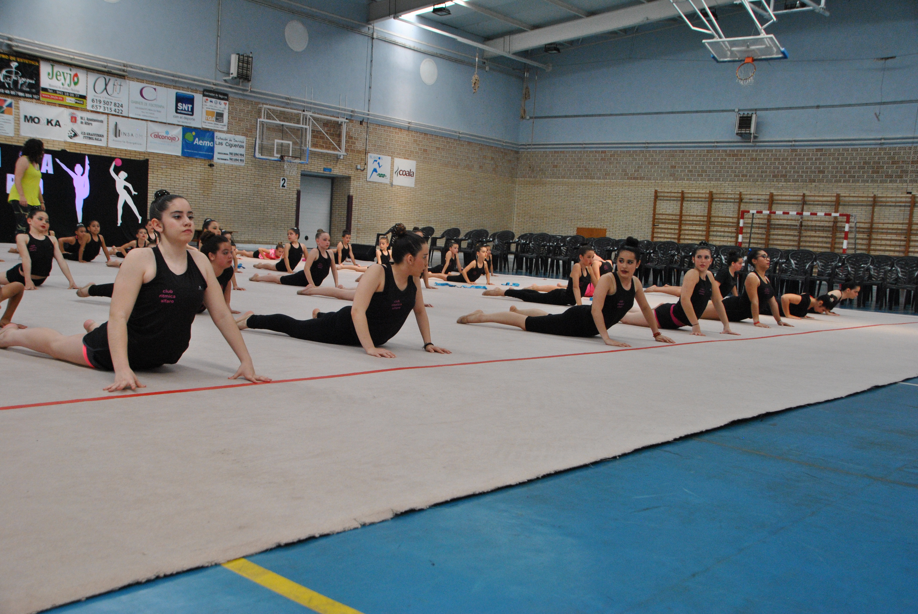 Exhibicion club ritmica Alfaro junio 18 004