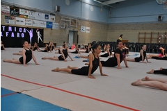 Exhibicion club ritmica Alfaro junio 18 006