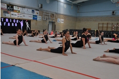 Exhibicion club ritmica Alfaro junio 18 007