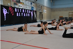 Exhibicion club ritmica Alfaro junio 18 012