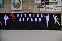 Exhibicion club ritmica Alfaro junio 18 019