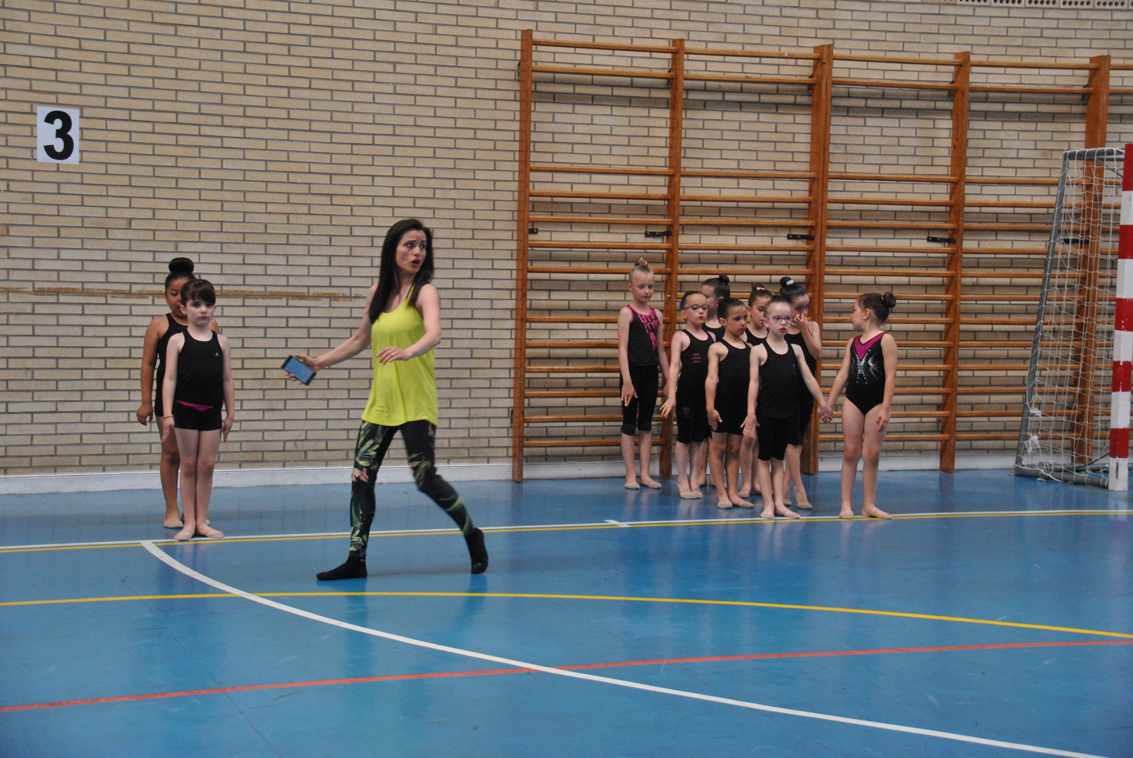 Exhibicion club ritmica Alfaro junio 18 024