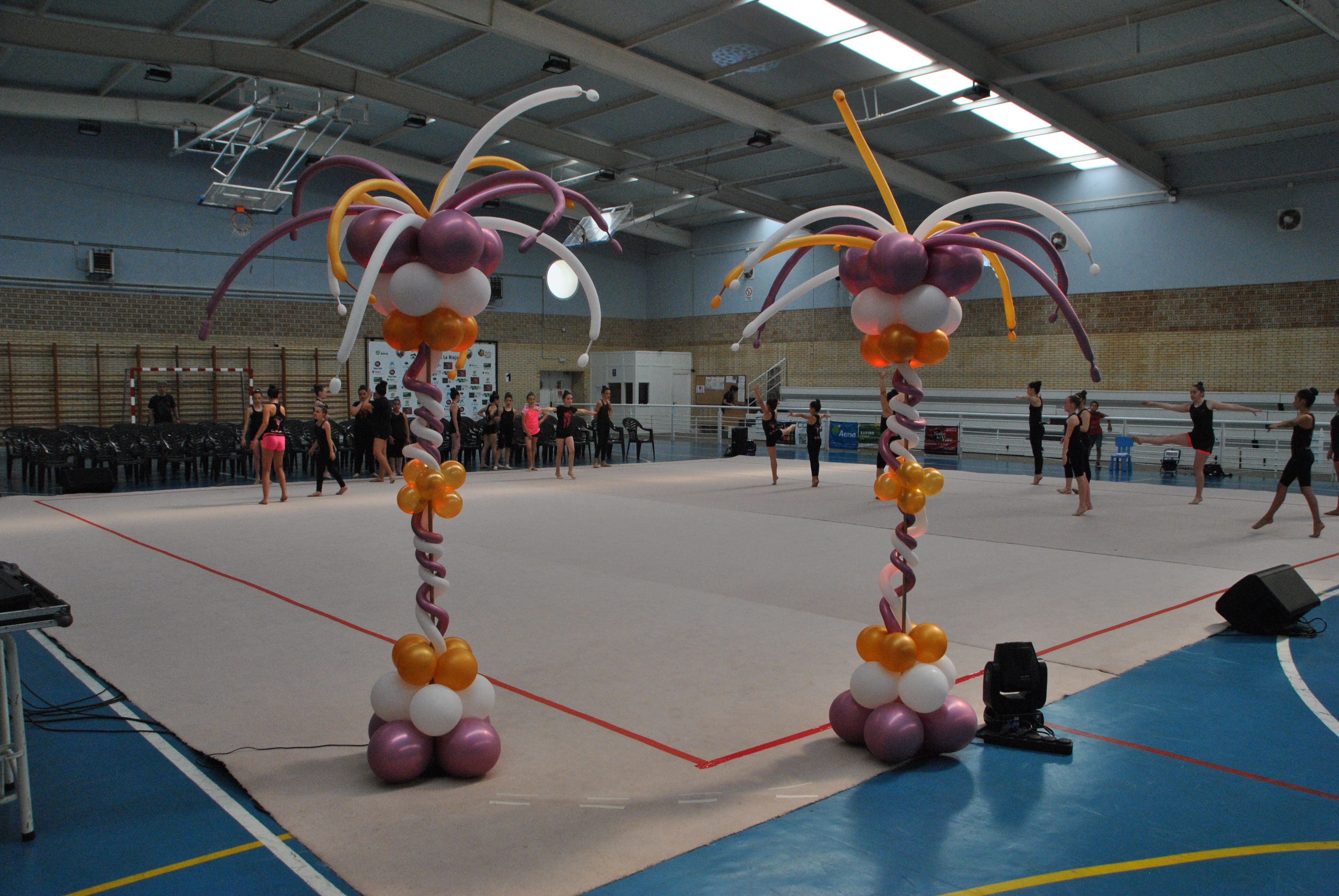 Exhibicion club ritmica Alfaro junio 18 027