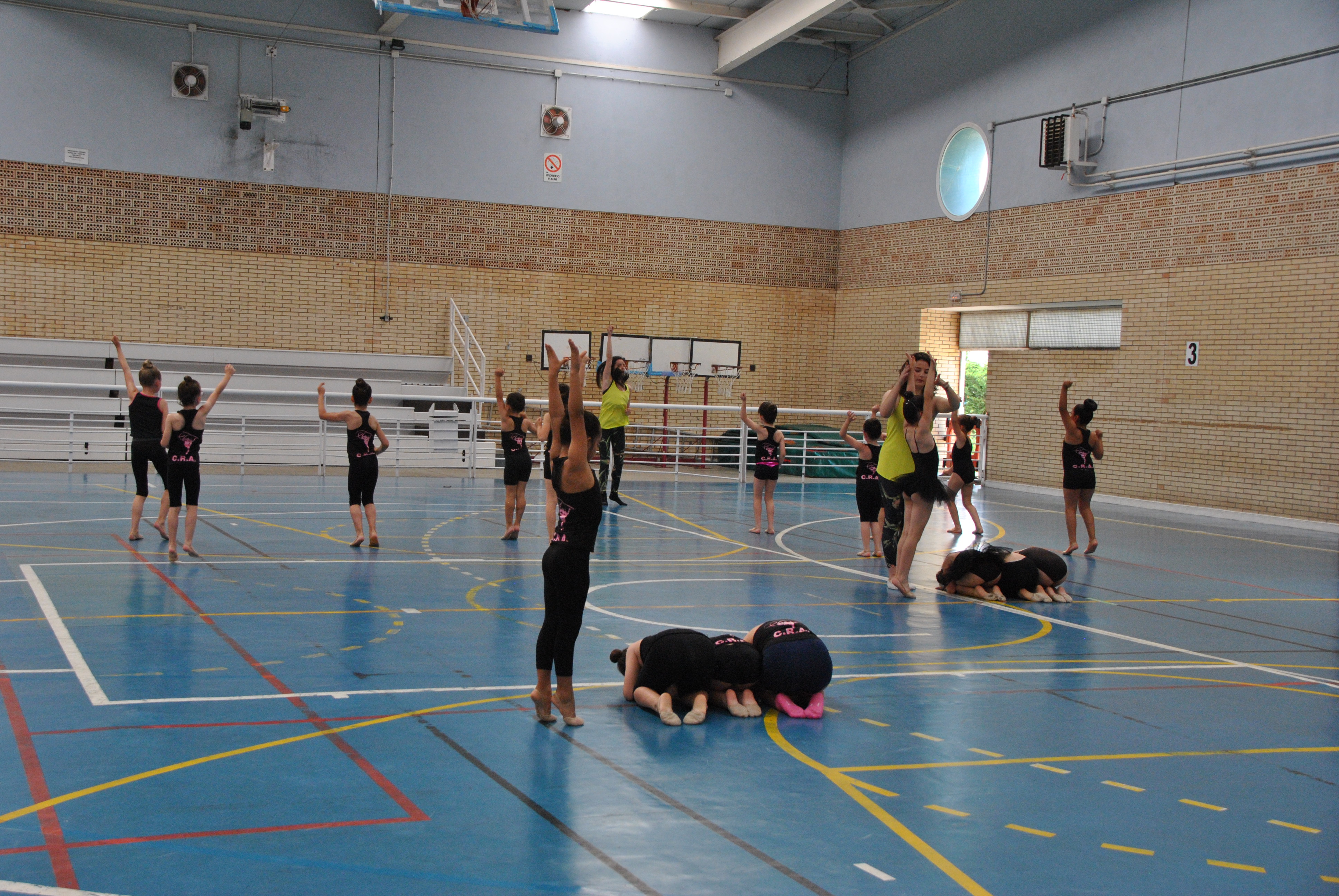 Exhibicion club ritmica Alfaro junio 18 028