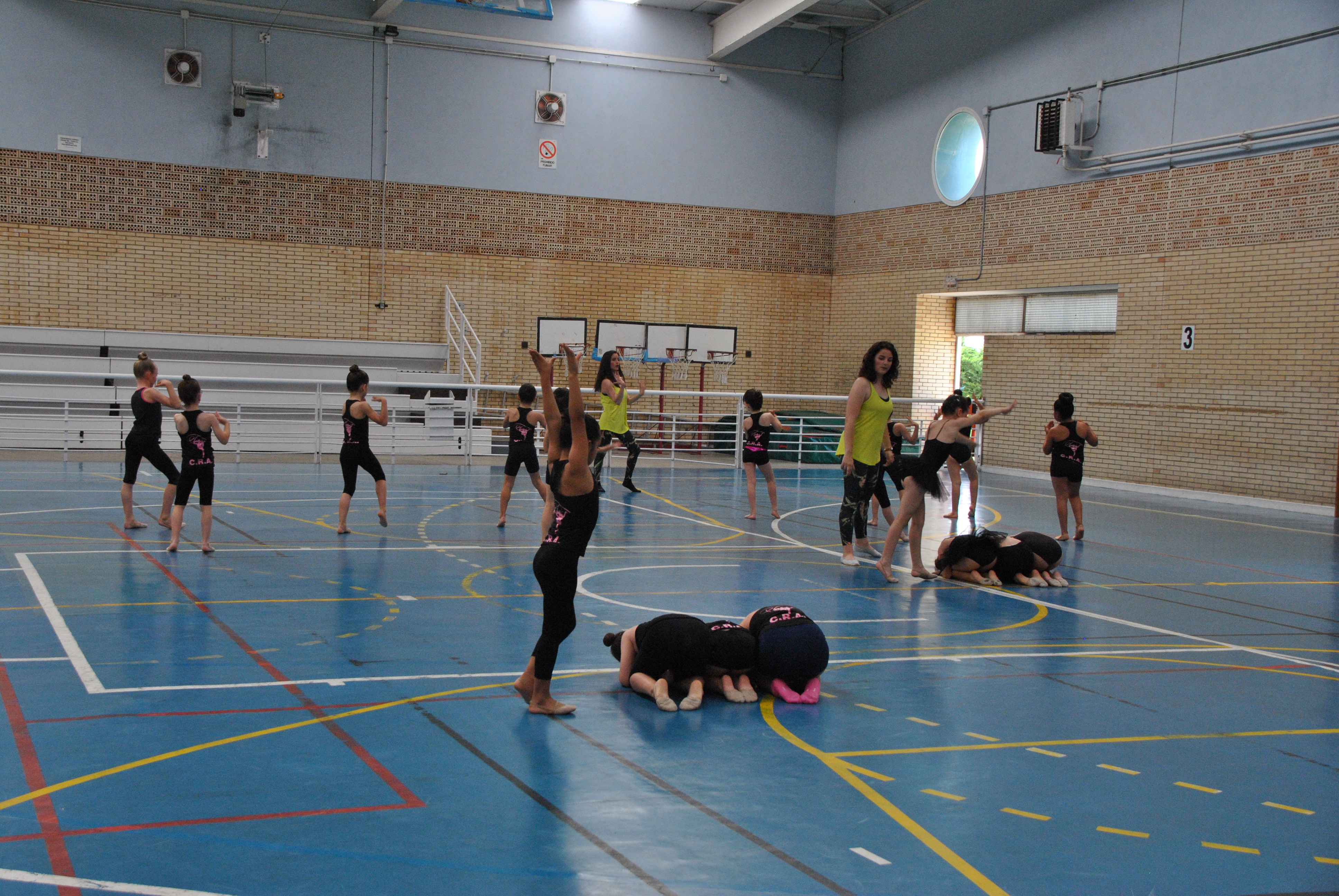 Exhibicion club ritmica Alfaro junio 18 029