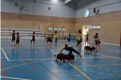 Exhibicion club ritmica Alfaro junio 18 030