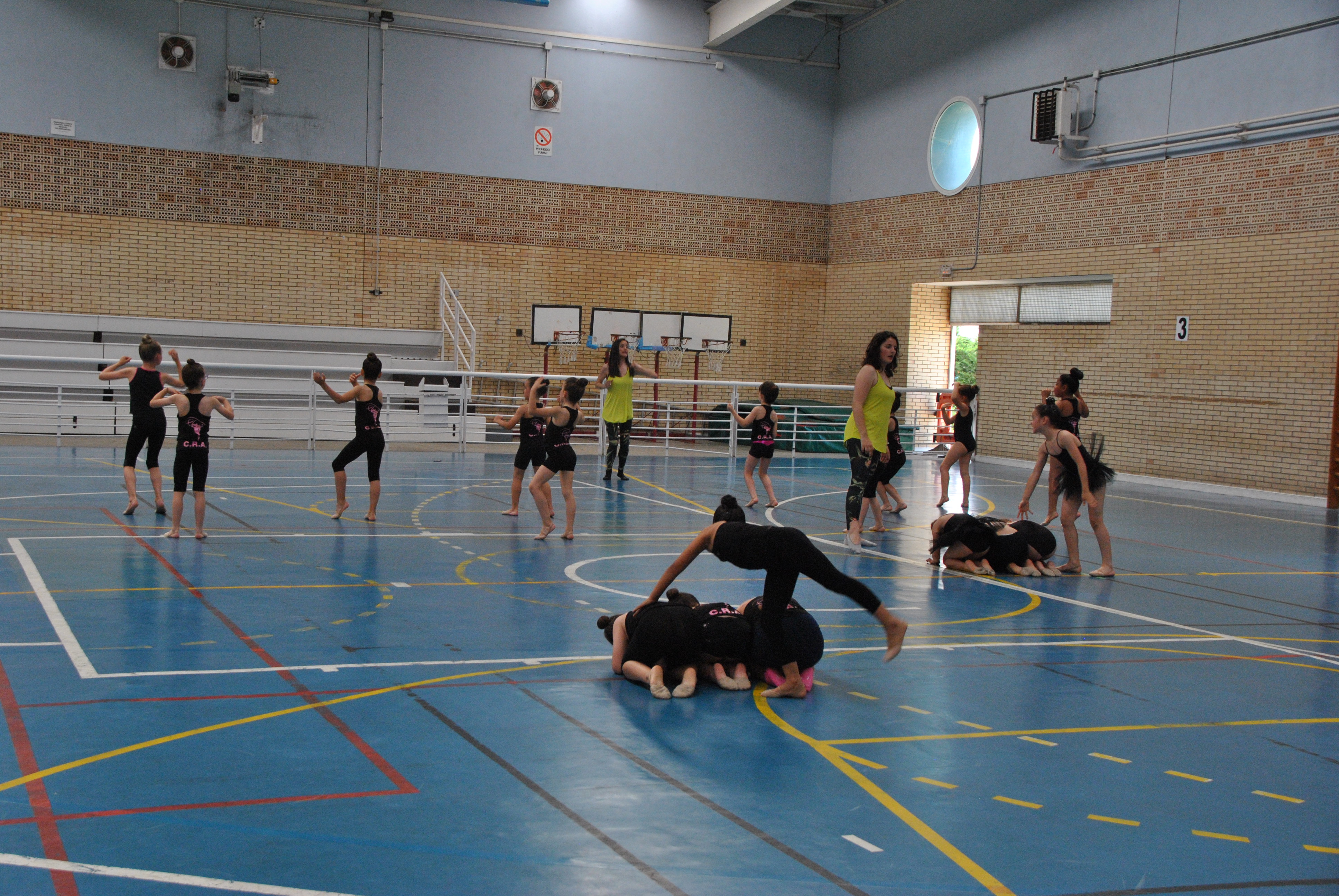 Exhibicion club ritmica Alfaro junio 18 030