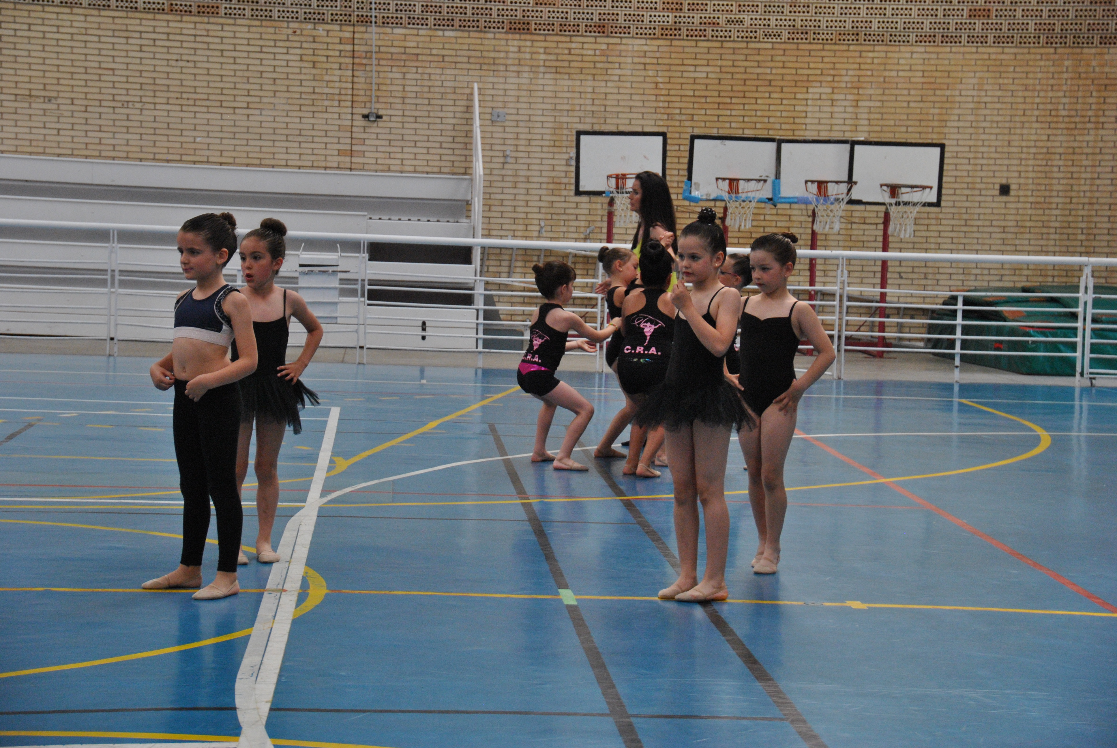 Exhibicion club ritmica Alfaro junio 18 031