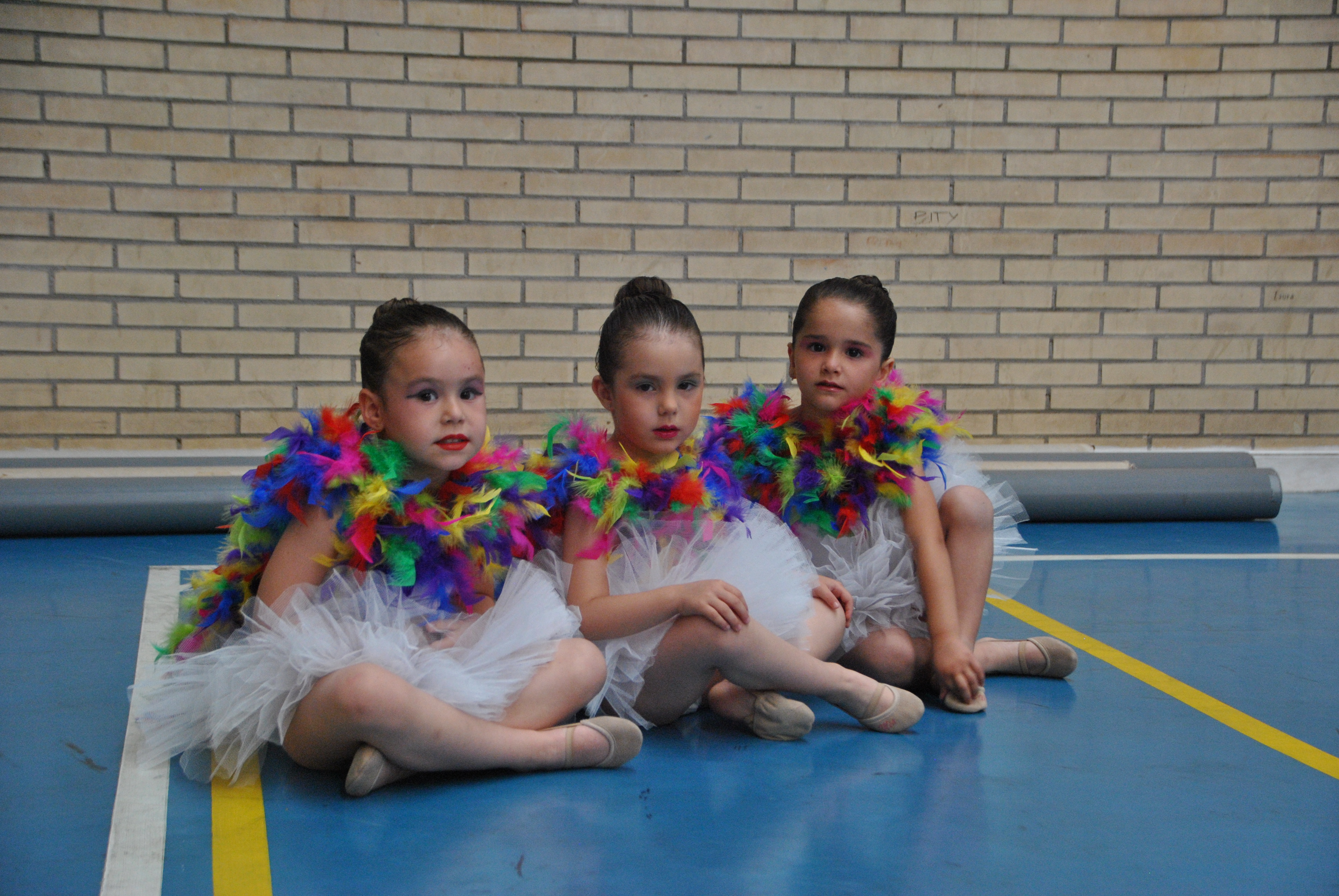 Exhibicion club ritmica Alfaro junio 18 044