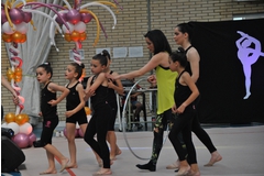 Exhibicion club ritmica Alfaro junio 18 051