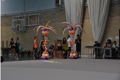 Exhibicion club ritmica Alfaro junio 18 053