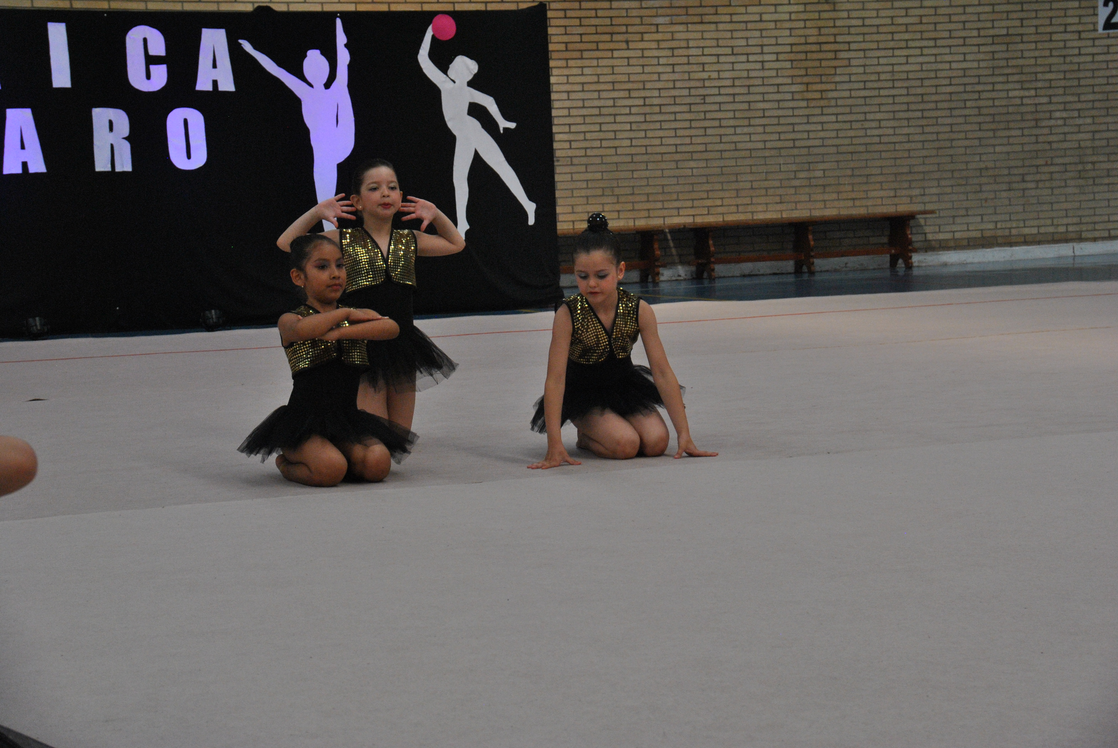 Exhibicion club ritmica Alfaro junio 18 056