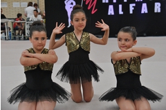 Exhibicion club ritmica Alfaro junio 18 057