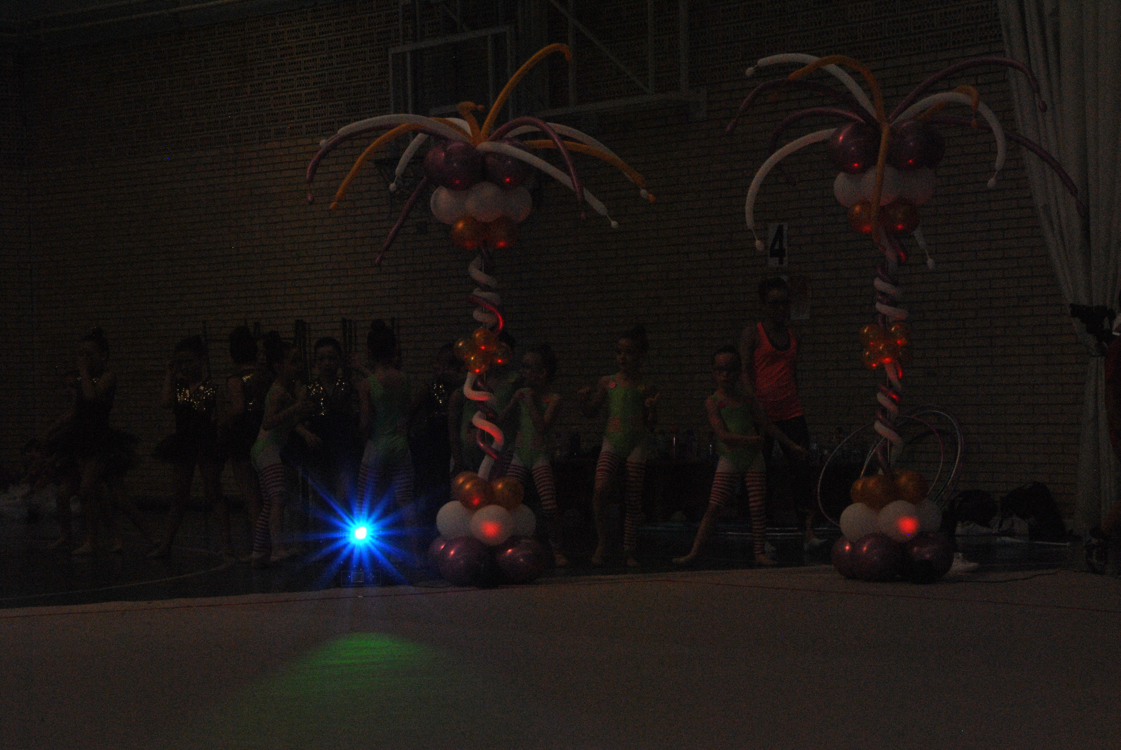 Exhibicion club ritmica Alfaro junio 18 063