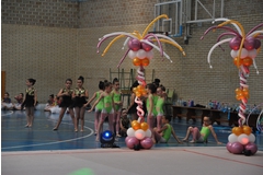 Exhibicion club ritmica Alfaro junio 18 064