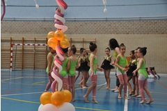 Exhibicion club ritmica Alfaro junio 18 065