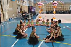 Exhibicion club ritmica Alfaro junio 18 068