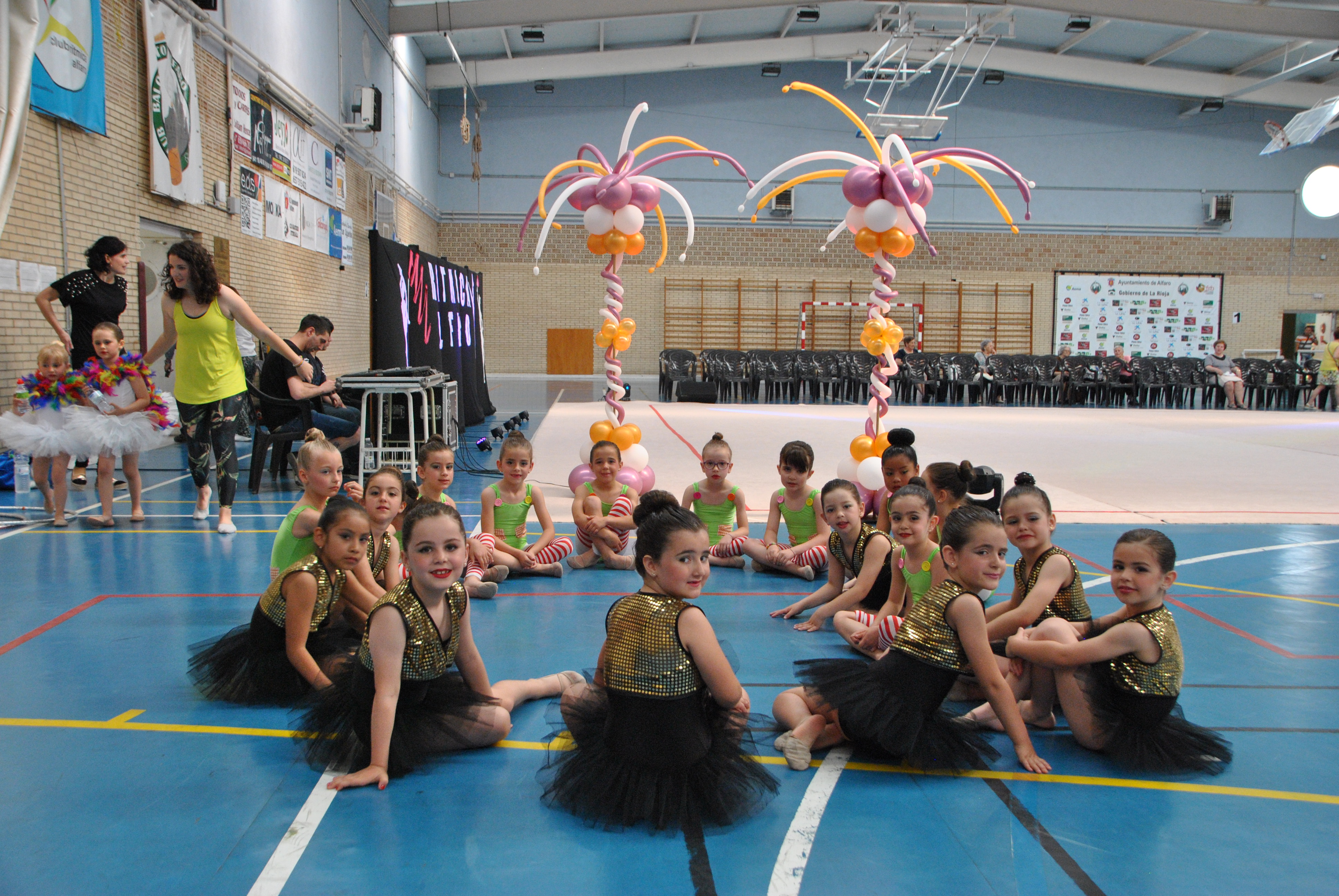 Exhibicion club ritmica Alfaro junio 18 069