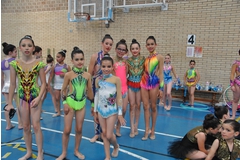 Exhibicion club ritmica Alfaro junio 18 081