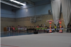 Exhibicion club ritmica Alfaro junio 18 103