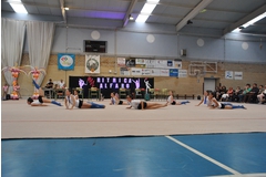 Exhibicion club ritmica Alfaro junio 18 1050