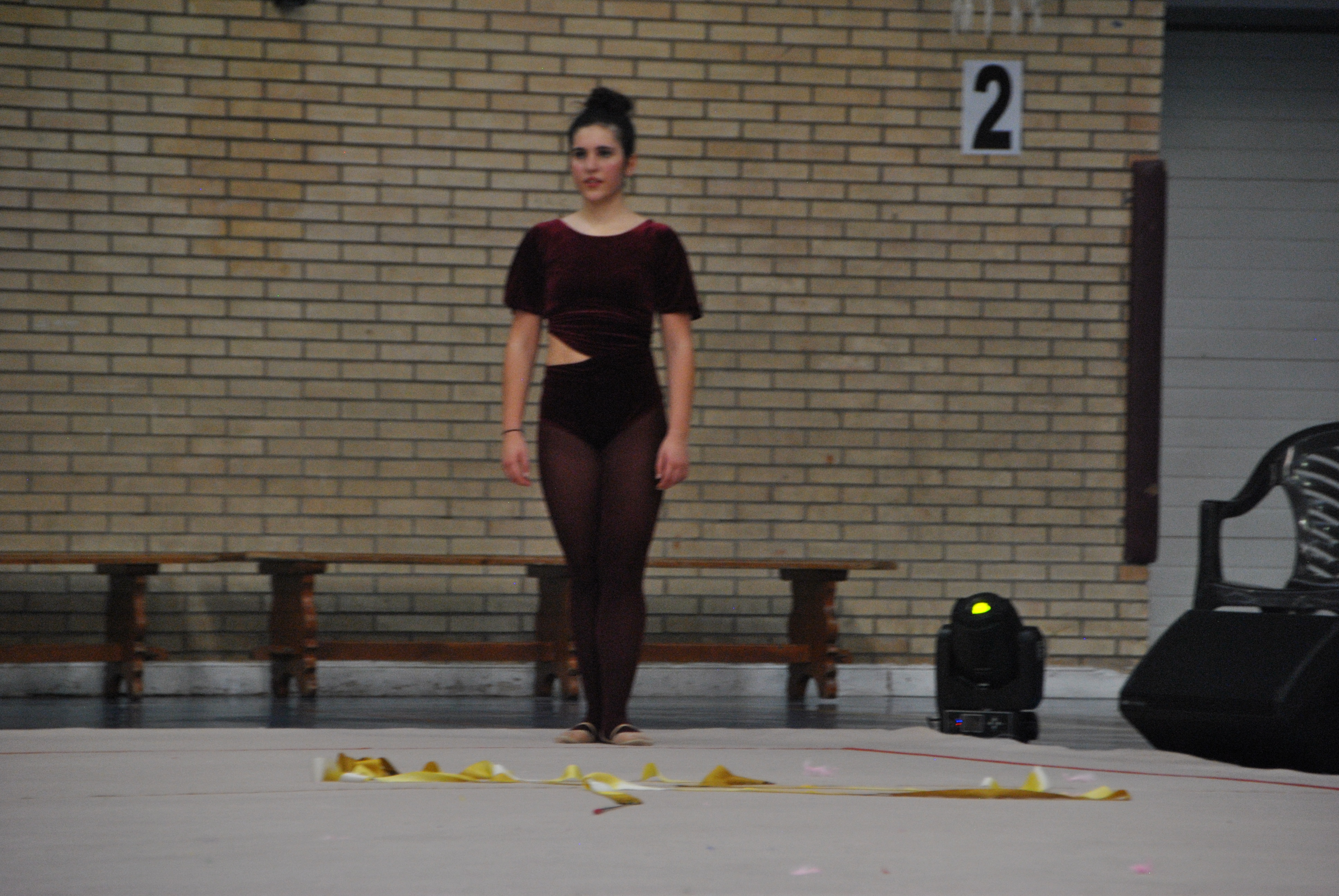 Exhibicion club ritmica Alfaro junio 18 1094