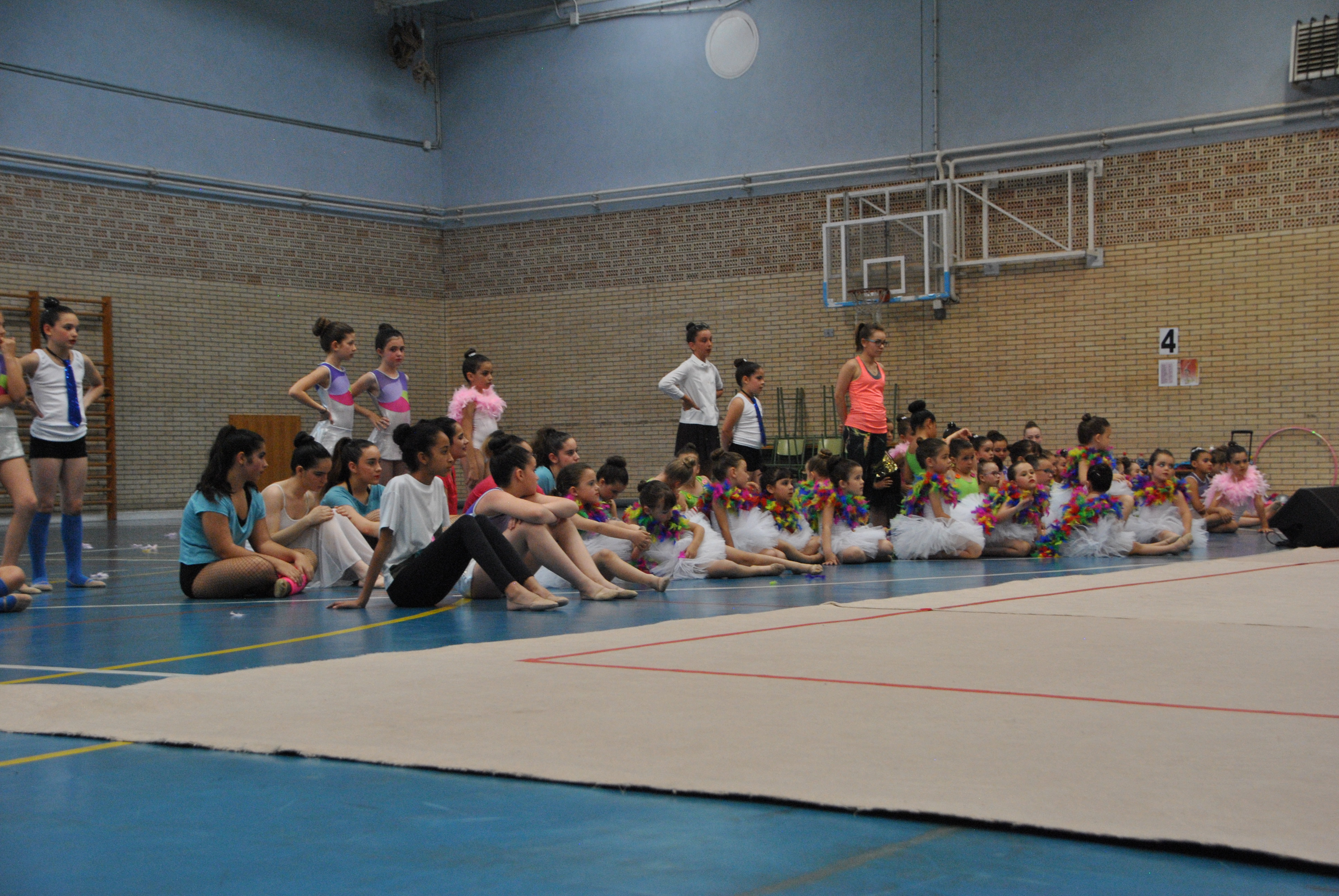 Exhibicion club ritmica Alfaro junio 18 1107