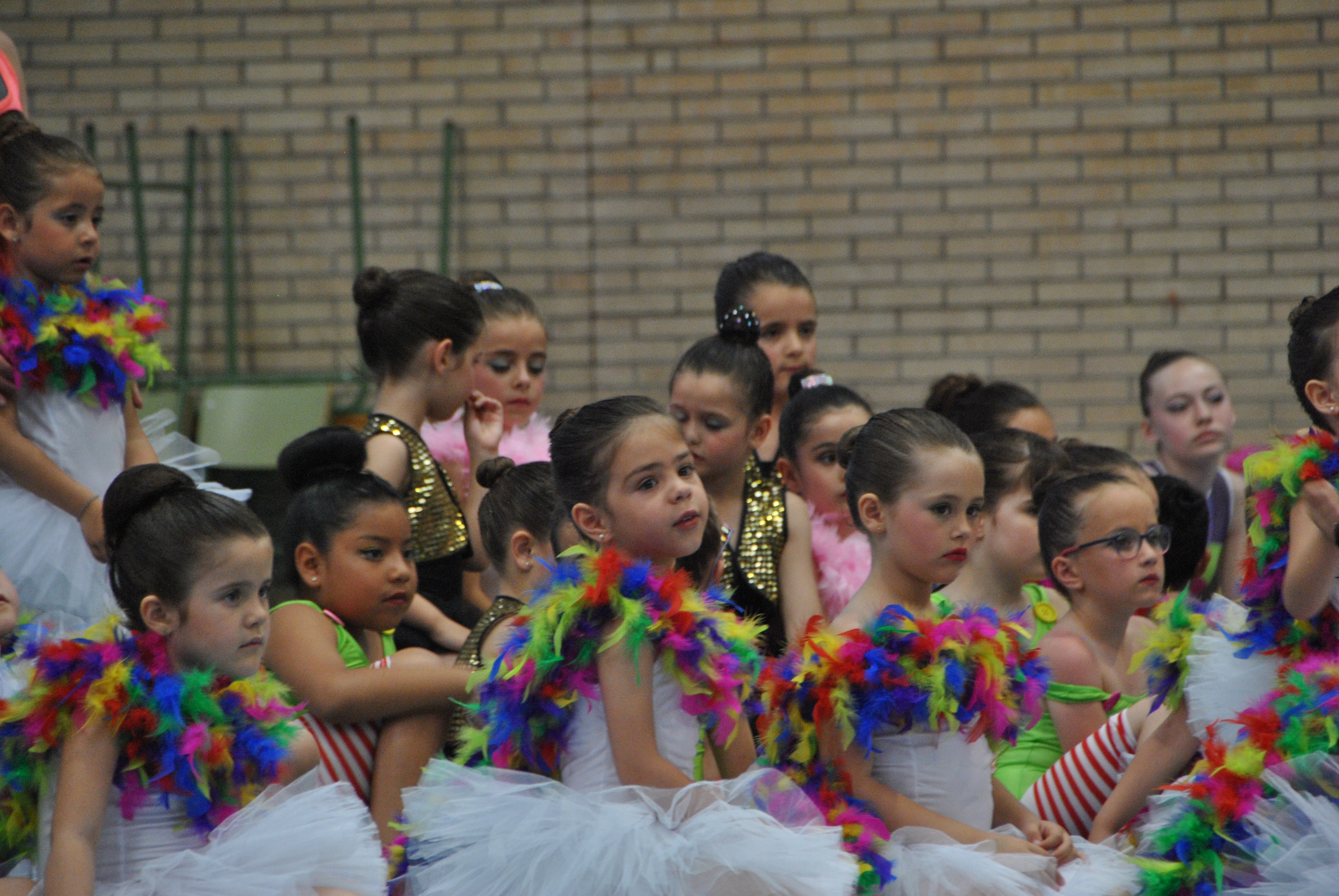 Exhibicion club ritmica Alfaro junio 18 1117