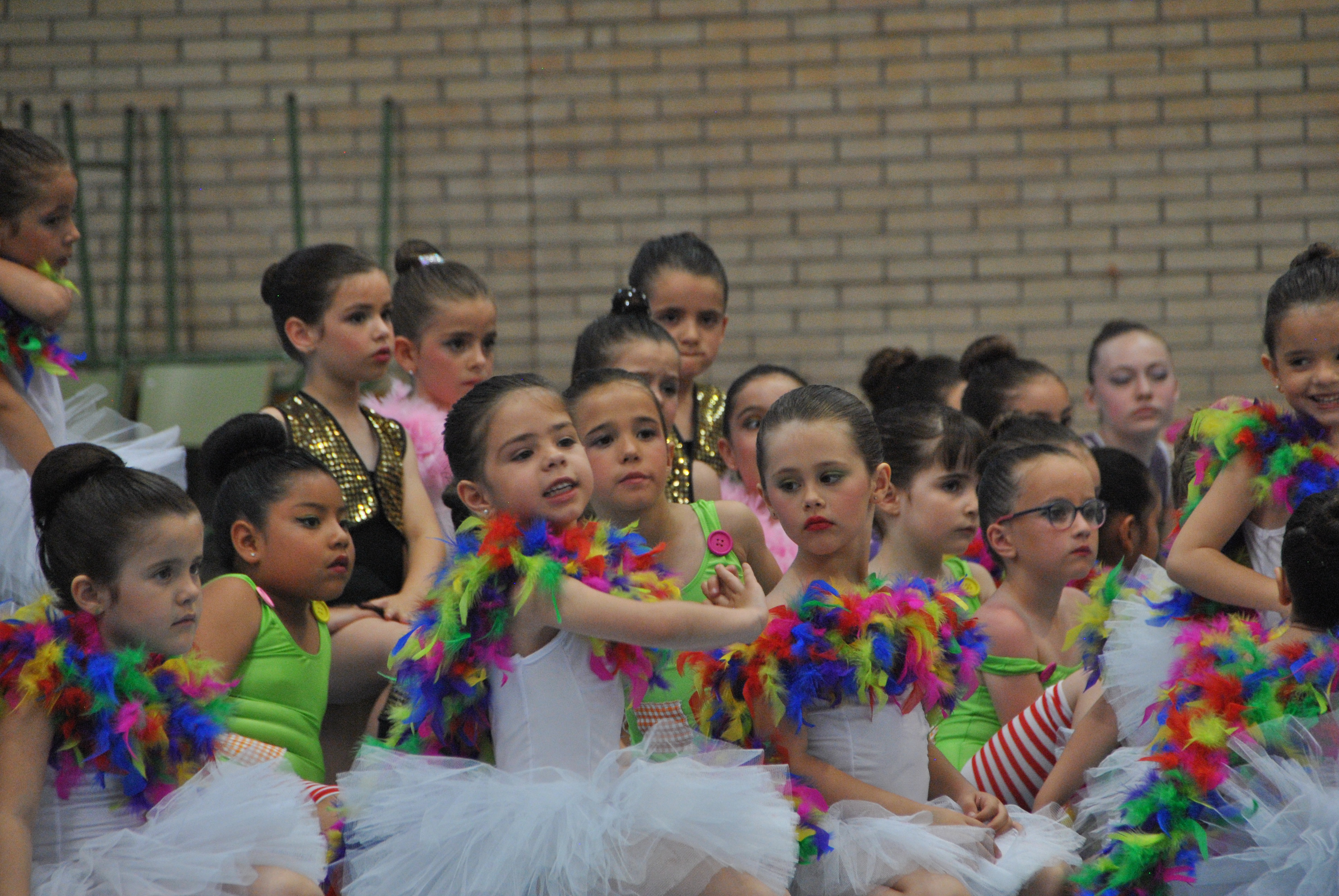 Exhibicion club ritmica Alfaro junio 18 1118