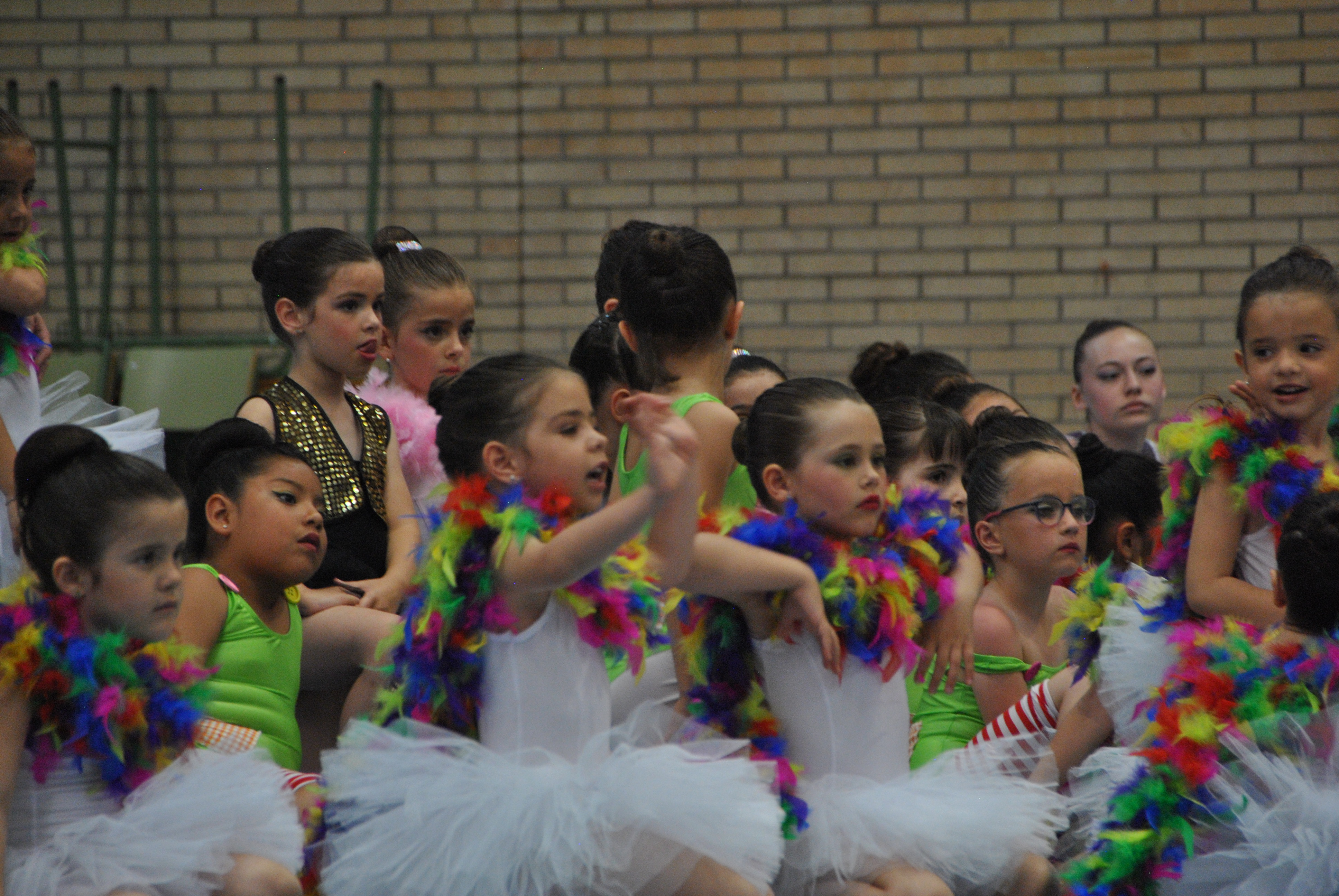 Exhibicion club ritmica Alfaro junio 18 1119