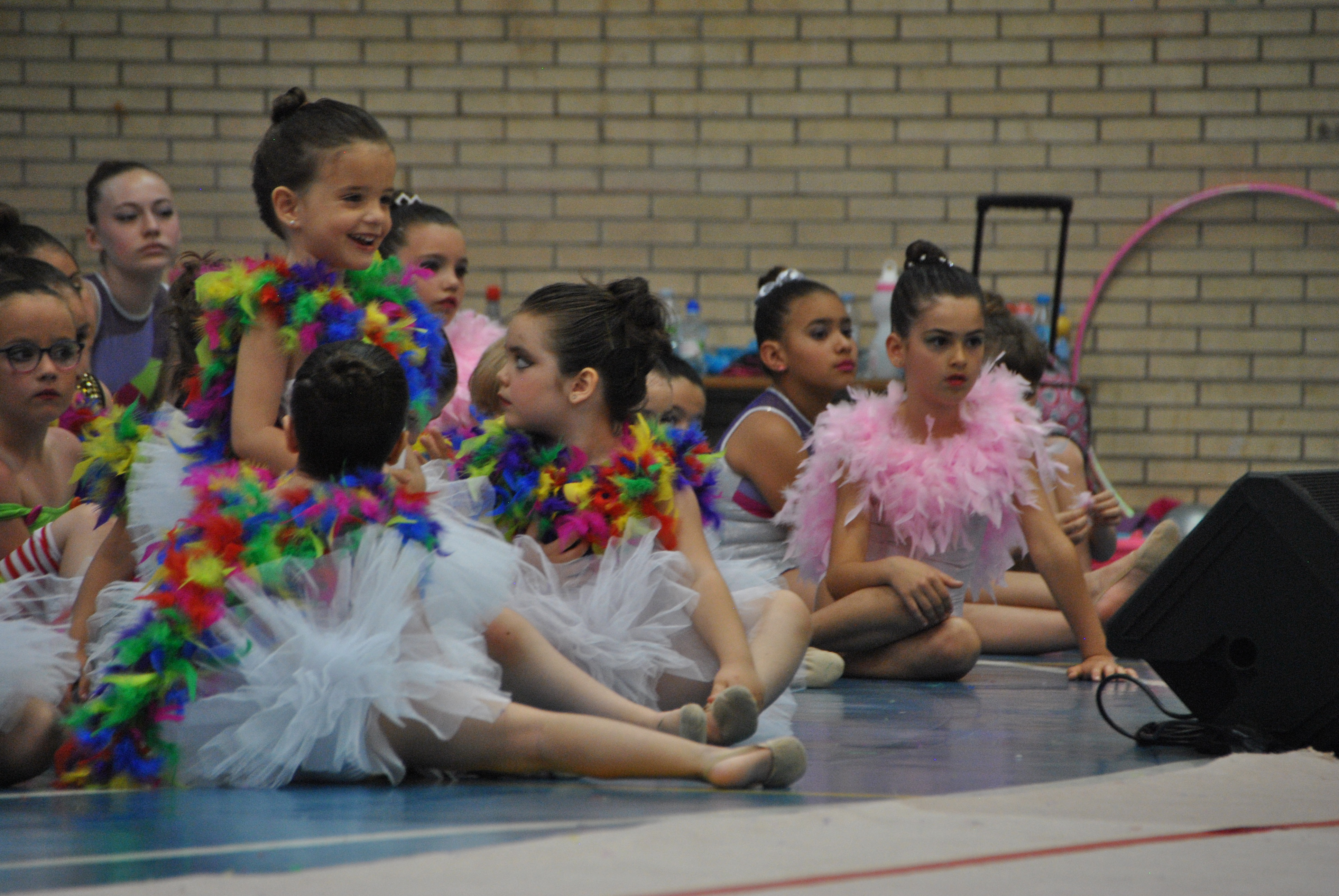 Exhibicion club ritmica Alfaro junio 18 1120