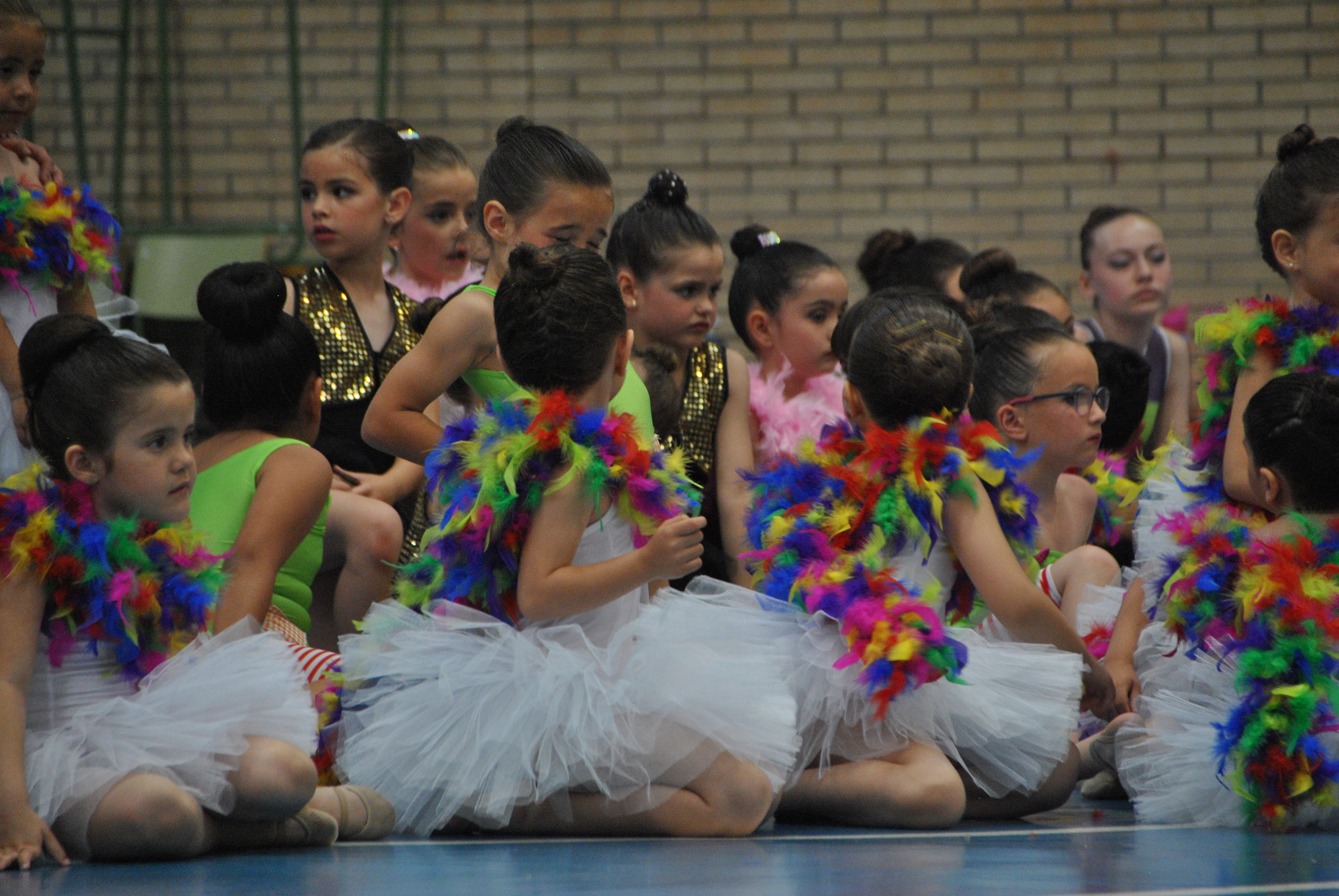 Exhibicion club ritmica Alfaro junio 18 1122