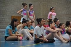 Exhibicion club ritmica Alfaro junio 18 1125