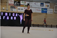 Exhibicion club ritmica Alfaro junio 18 1131