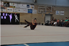 Exhibicion club ritmica Alfaro junio 18 1134