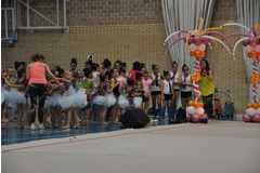 Exhibicion club ritmica Alfaro junio 18 1153