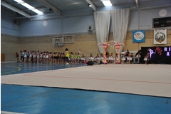 Exhibicion club ritmica Alfaro junio 18 1155