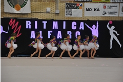 Exhibicion club ritmica Alfaro junio 18 1157