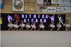 Exhibicion club ritmica Alfaro junio 18 1159