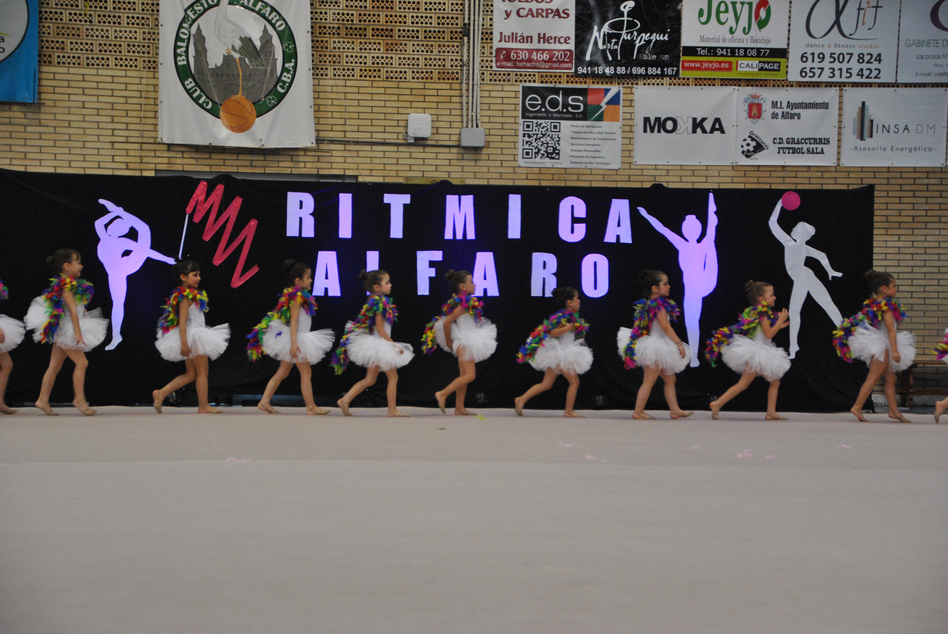 Exhibicion club ritmica Alfaro junio 18 1160