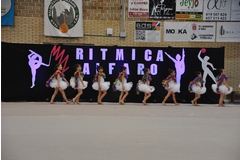 Exhibicion club ritmica Alfaro junio 18 1161