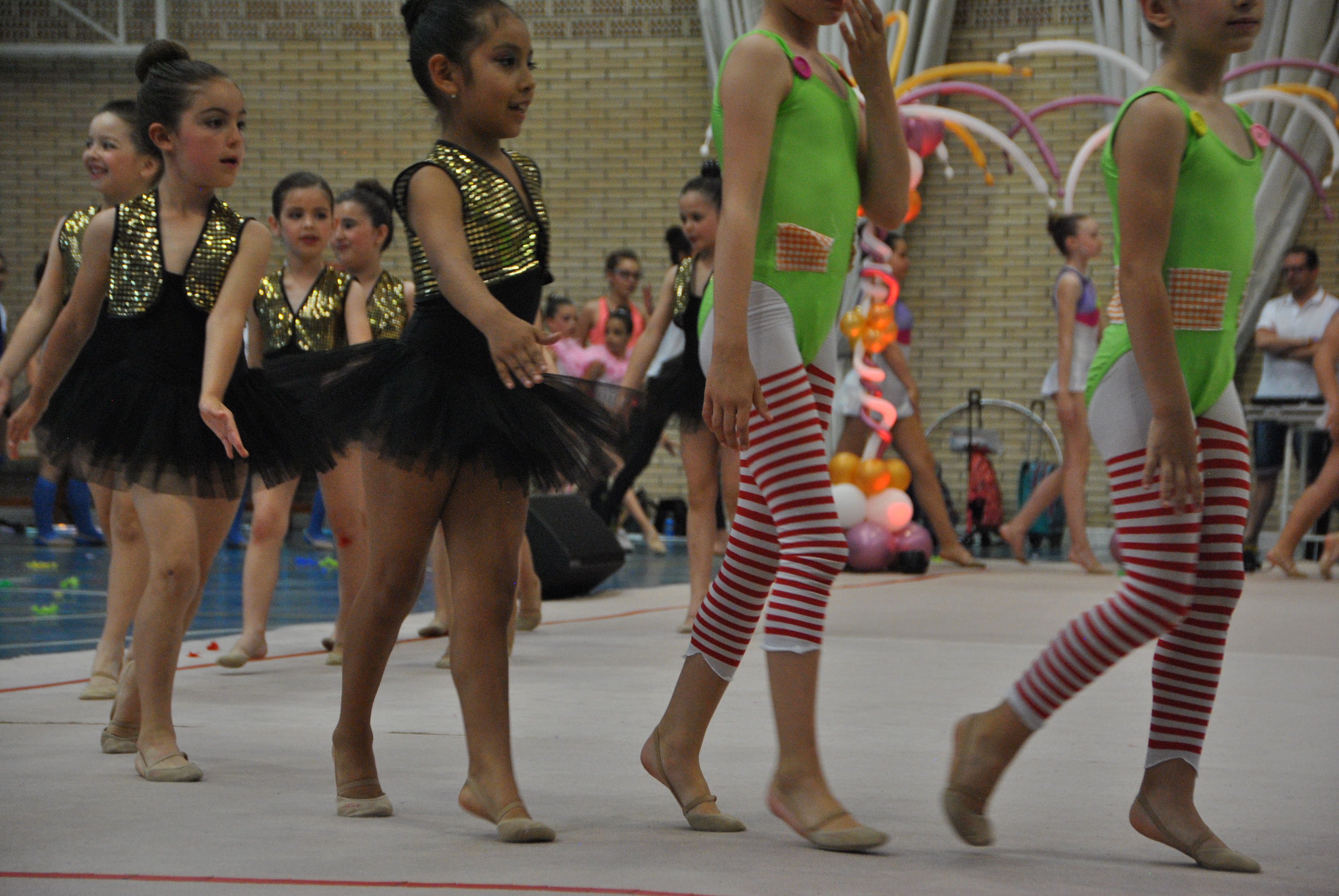 Exhibicion club ritmica Alfaro junio 18 1165