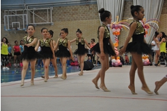 Exhibicion club ritmica Alfaro junio 18 1166