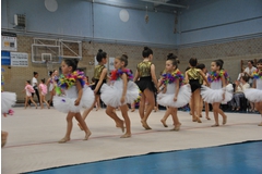 Exhibicion club ritmica Alfaro junio 18 1171