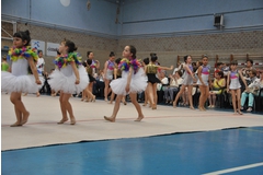 Exhibicion club ritmica Alfaro junio 18 1172