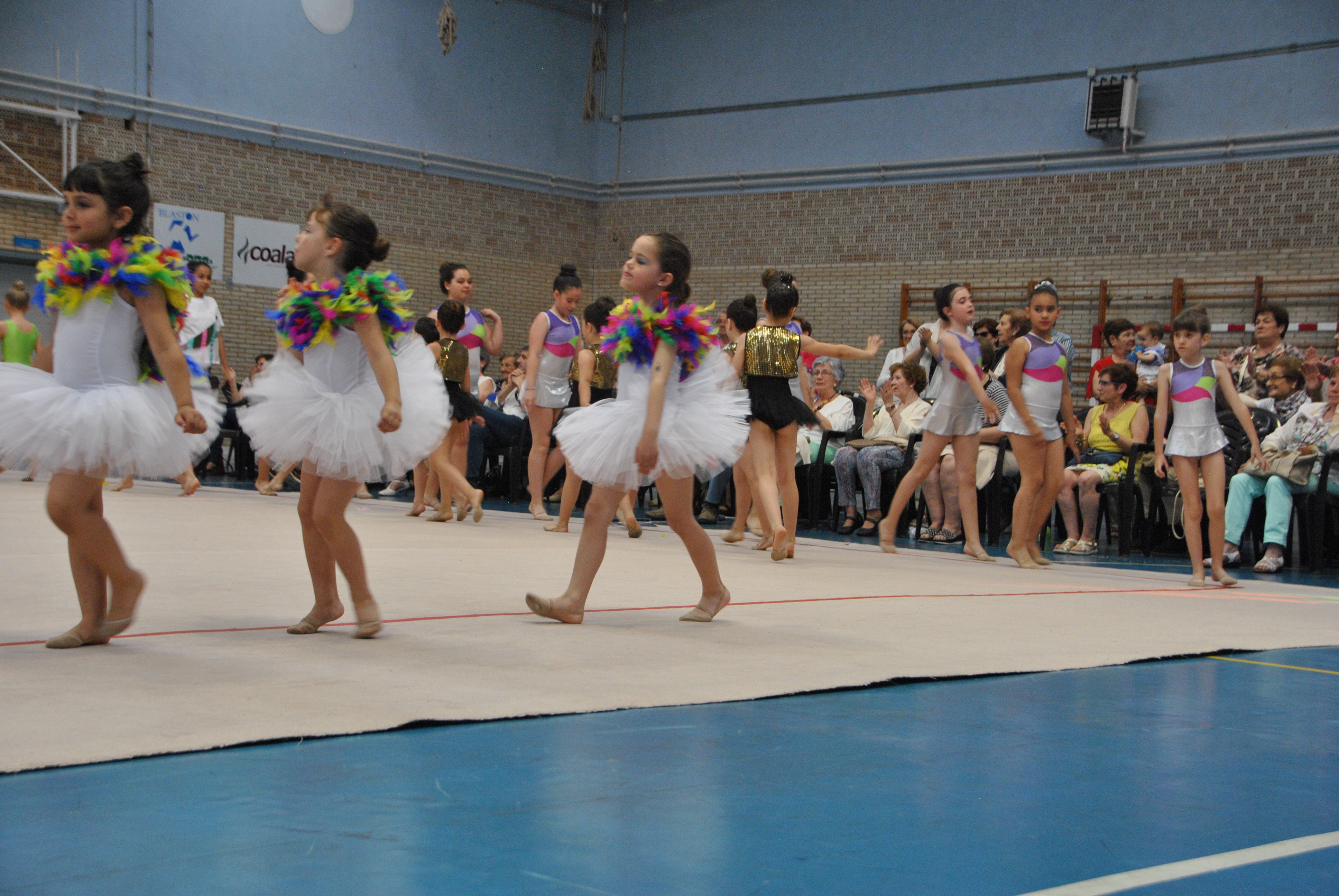 Exhibicion club ritmica Alfaro junio 18 1172