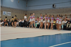 Exhibicion club ritmica Alfaro junio 18 1173